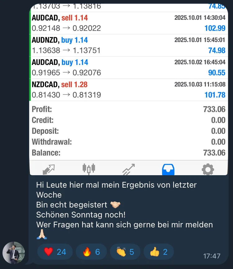 Trading Ergebnis $733